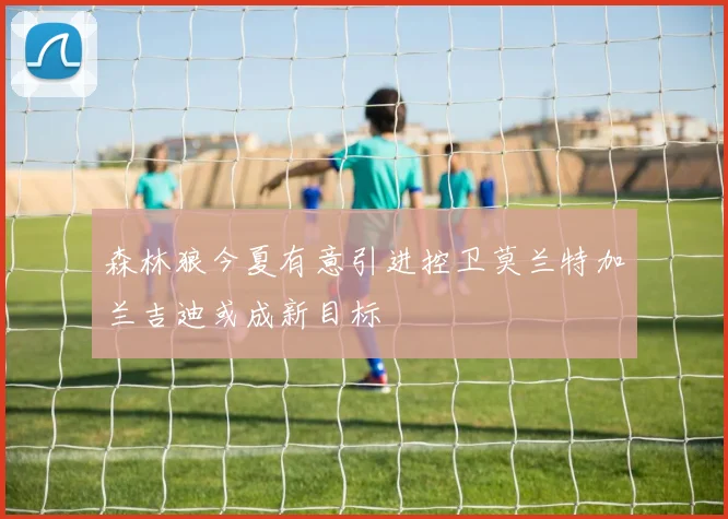 森林狼今夏有意引进控卫莫兰特加兰吉迪或成新目标
