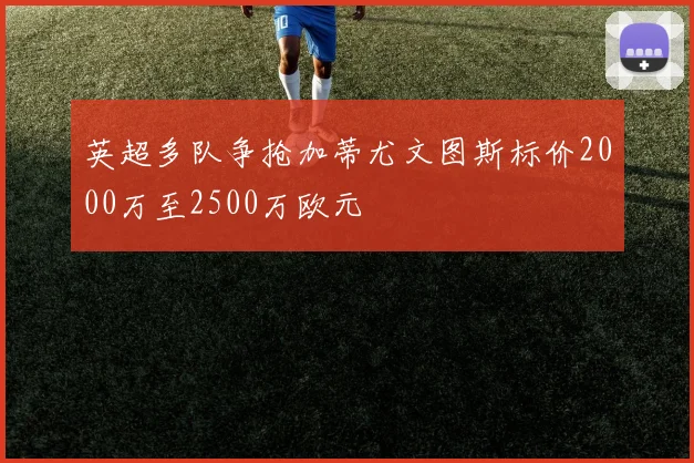 英超多队争抢加蒂尤文图斯标价2000万至2500万欧元