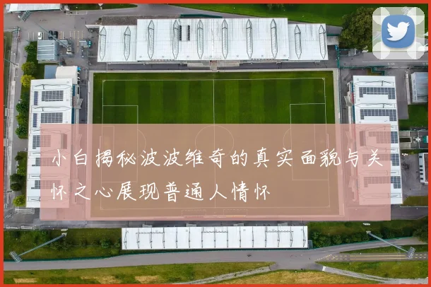小白揭秘波波维奇的真实面貌与关怀之心展现普通人情怀