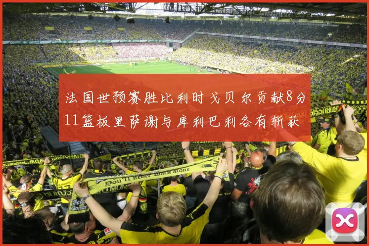 法国世预赛胜比利时戈贝尔贡献8分11篮板里萨谢与库利巴利各有斩获